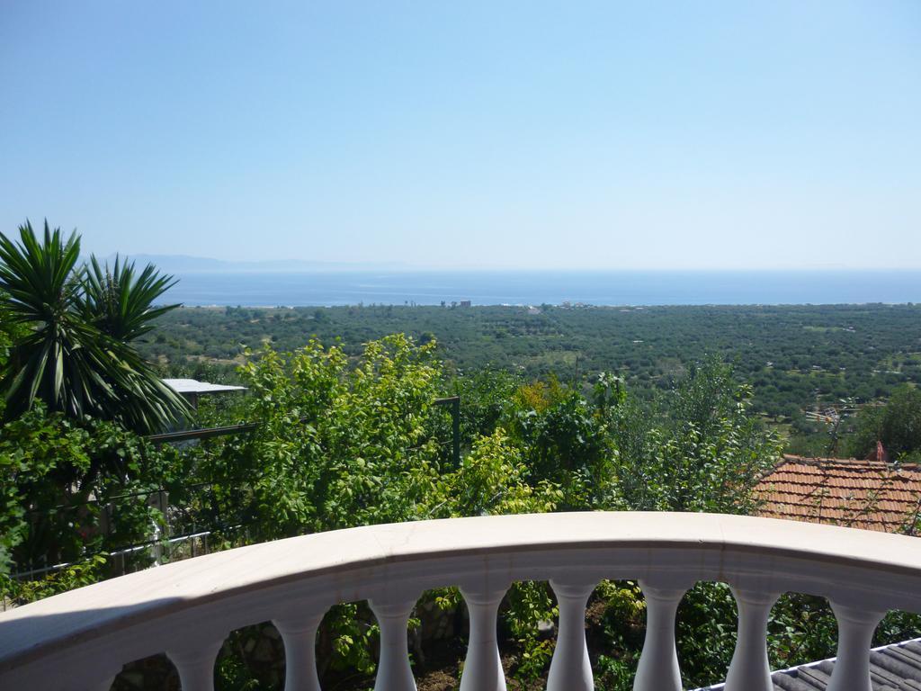 Vila Altini בורש מראה חיצוני תמונה