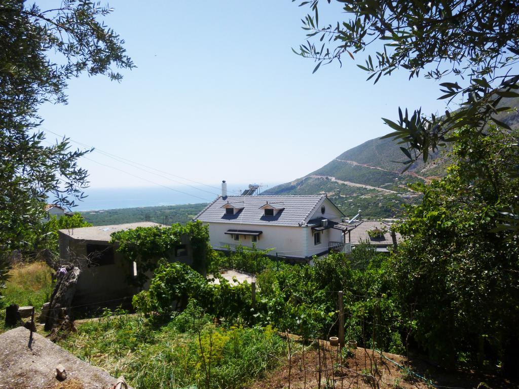 Vila Altini בורש מראה חיצוני תמונה